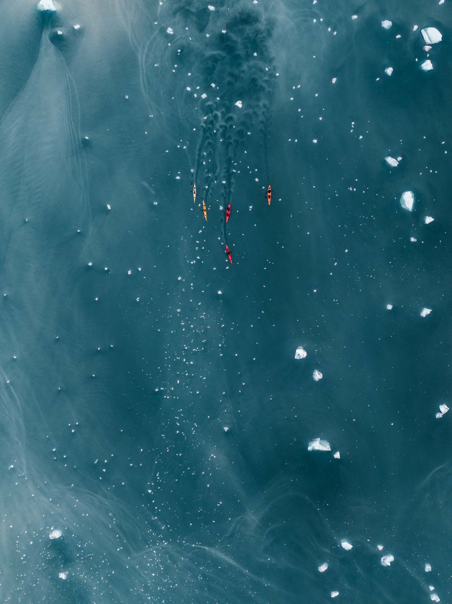 A group of kayakers traversing through the Arctic waters.