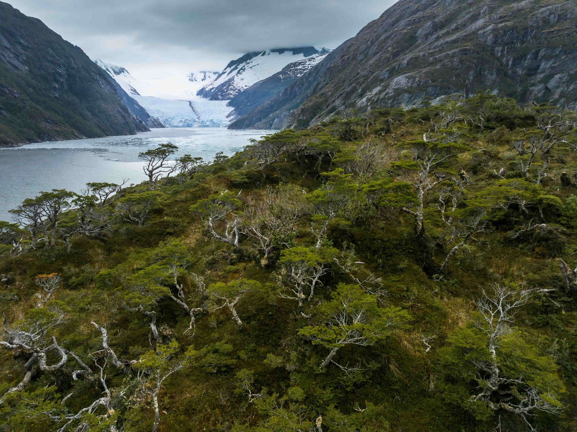 Chilean fjords - Hiking patagonia