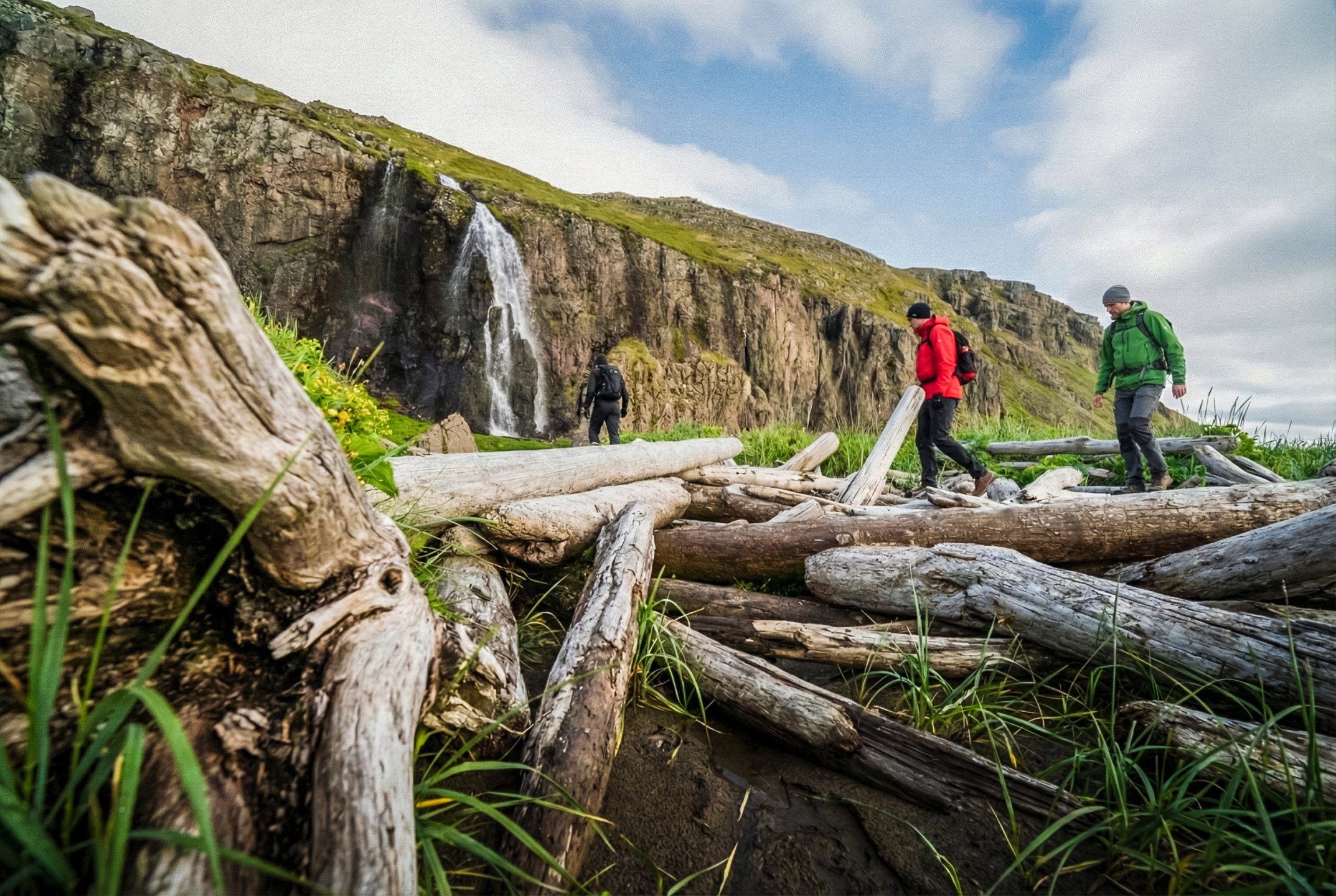 Group of 3 hikers hiking over driftwood in Hornstrandir