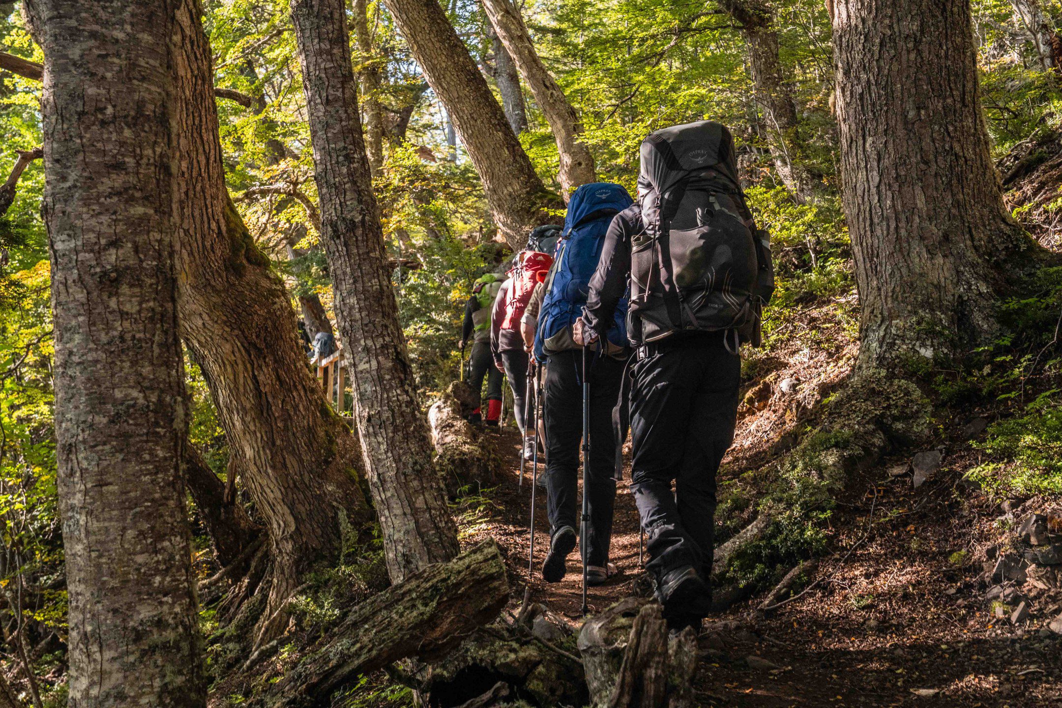 Hiking Patagonia - The sailboat securely anchored in the remote fjords of Patagonia, reflecting on the calm, glacial waters.