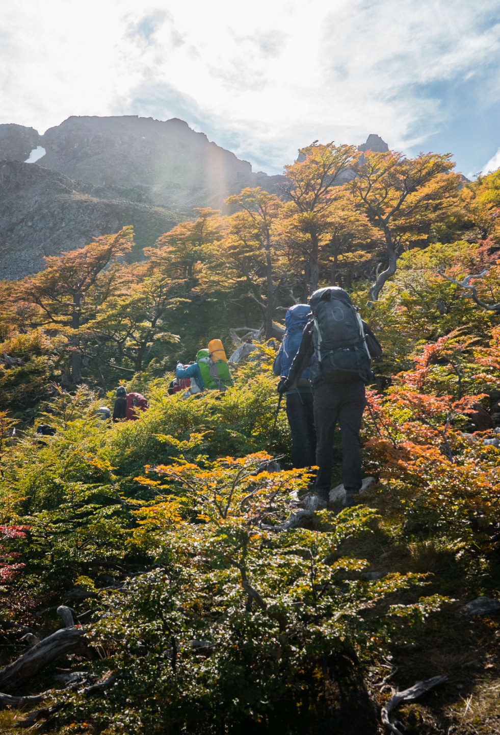 Hiking Patagonia - Lush, untouched Patagonian forest stretching to the water’s edge, with a massive glacier cascading down the mountains in the background.