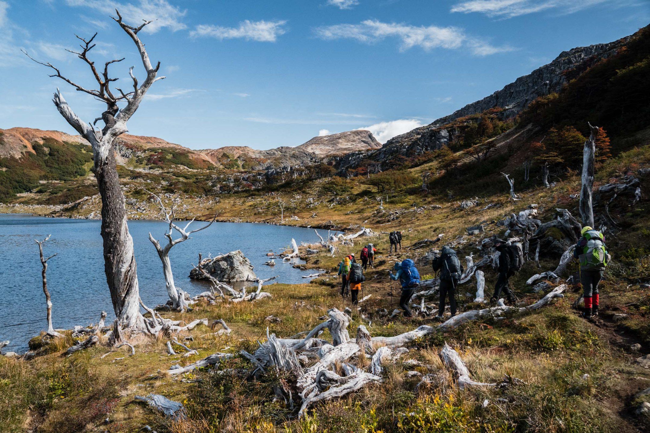 Hiking Patagonia - Expedition sailboat in the foreground, with rugged forests and towering mountains framing a massive glacier cascading into the fjord.