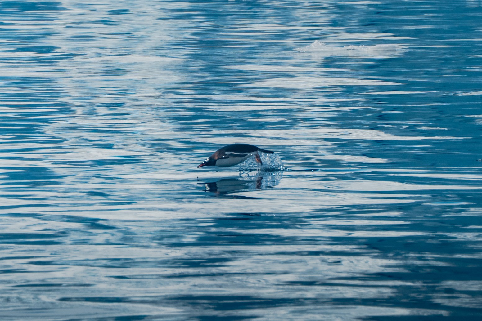 Heli hiking in the winter in Kerlingarfjöll