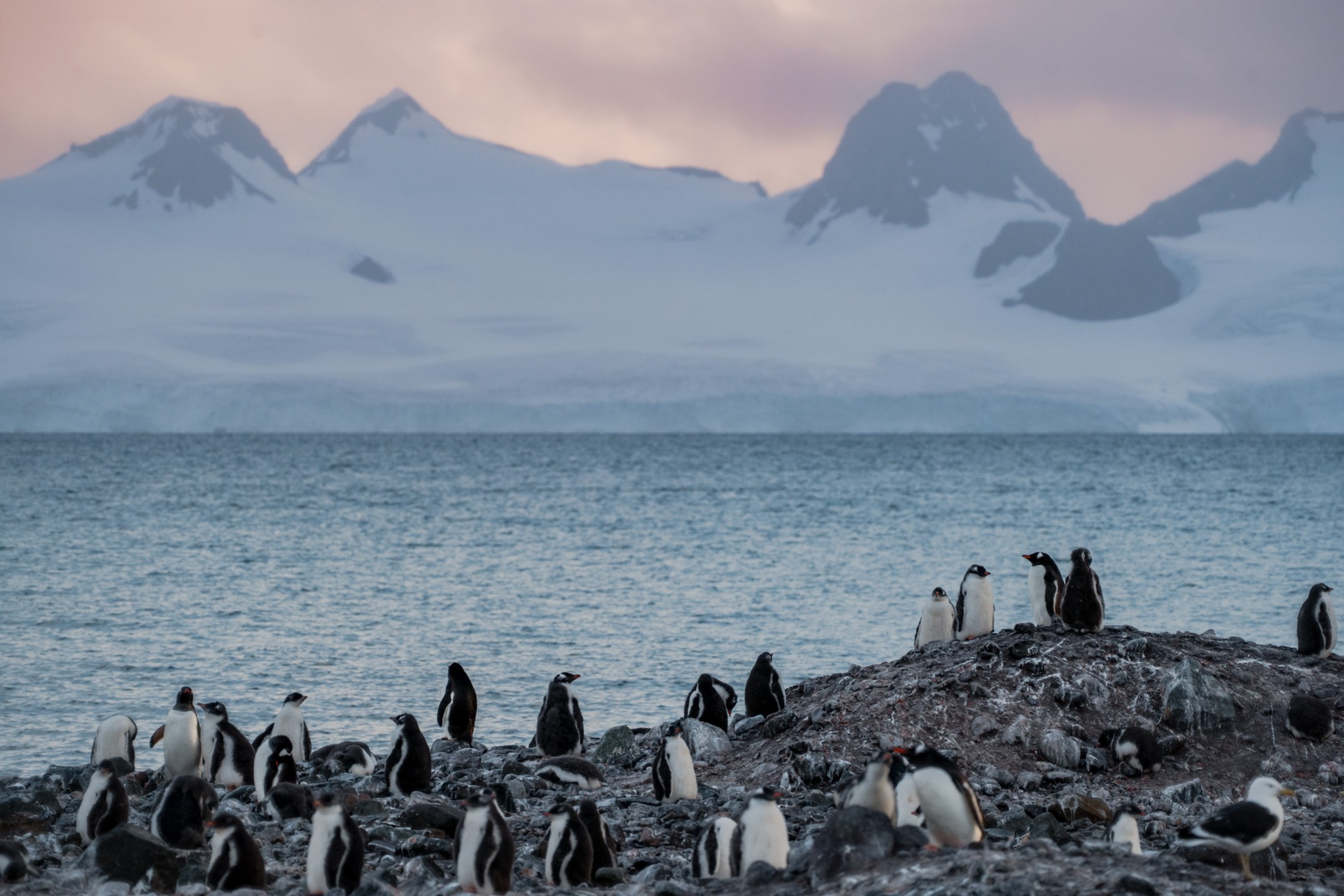 Hiking in Landmannalaugar, one of our favorite places for heli hiking in Iceland