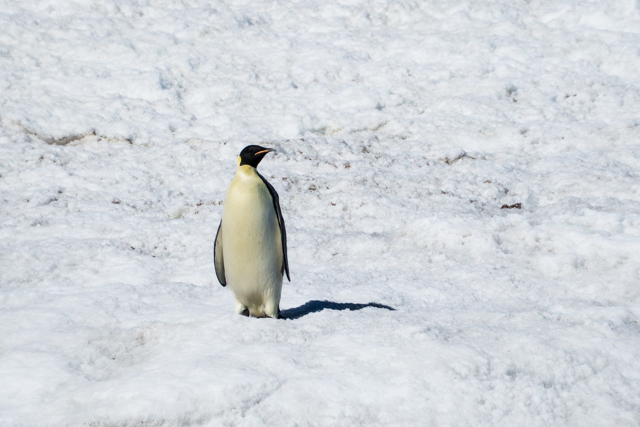 Snow covering the mountains of Thórsmörk. Haven for heli snowshoeing