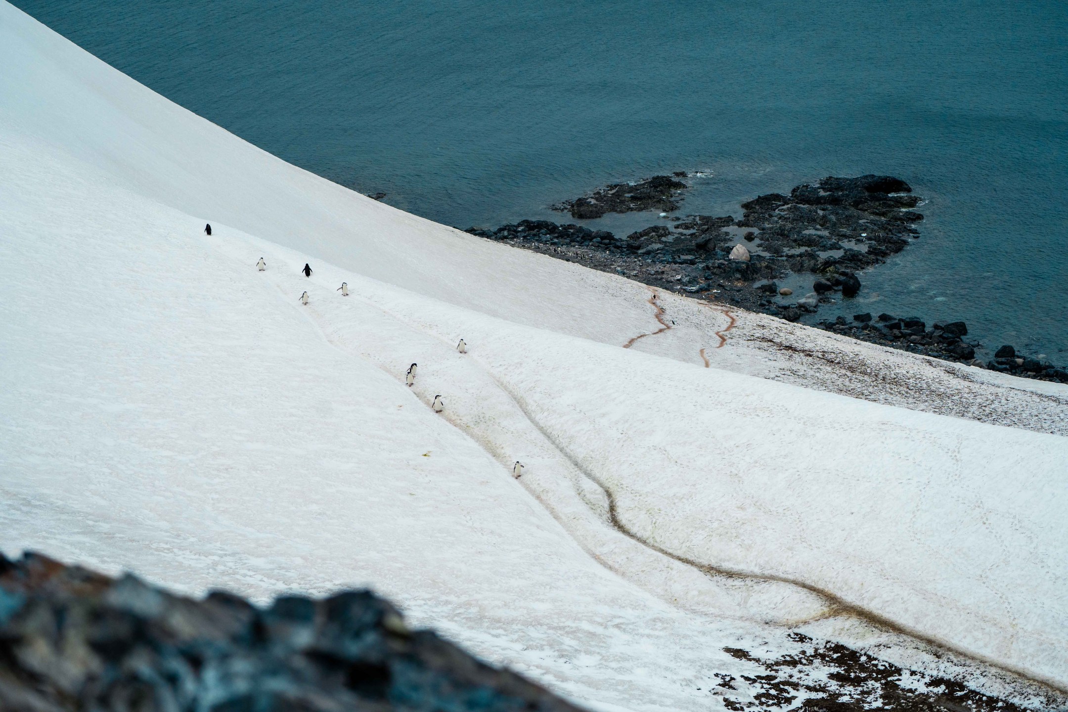 Heli hiking in the winter in Kerlingarfjöll